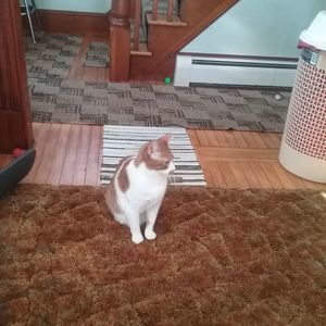 Meet your Posher, Dianne